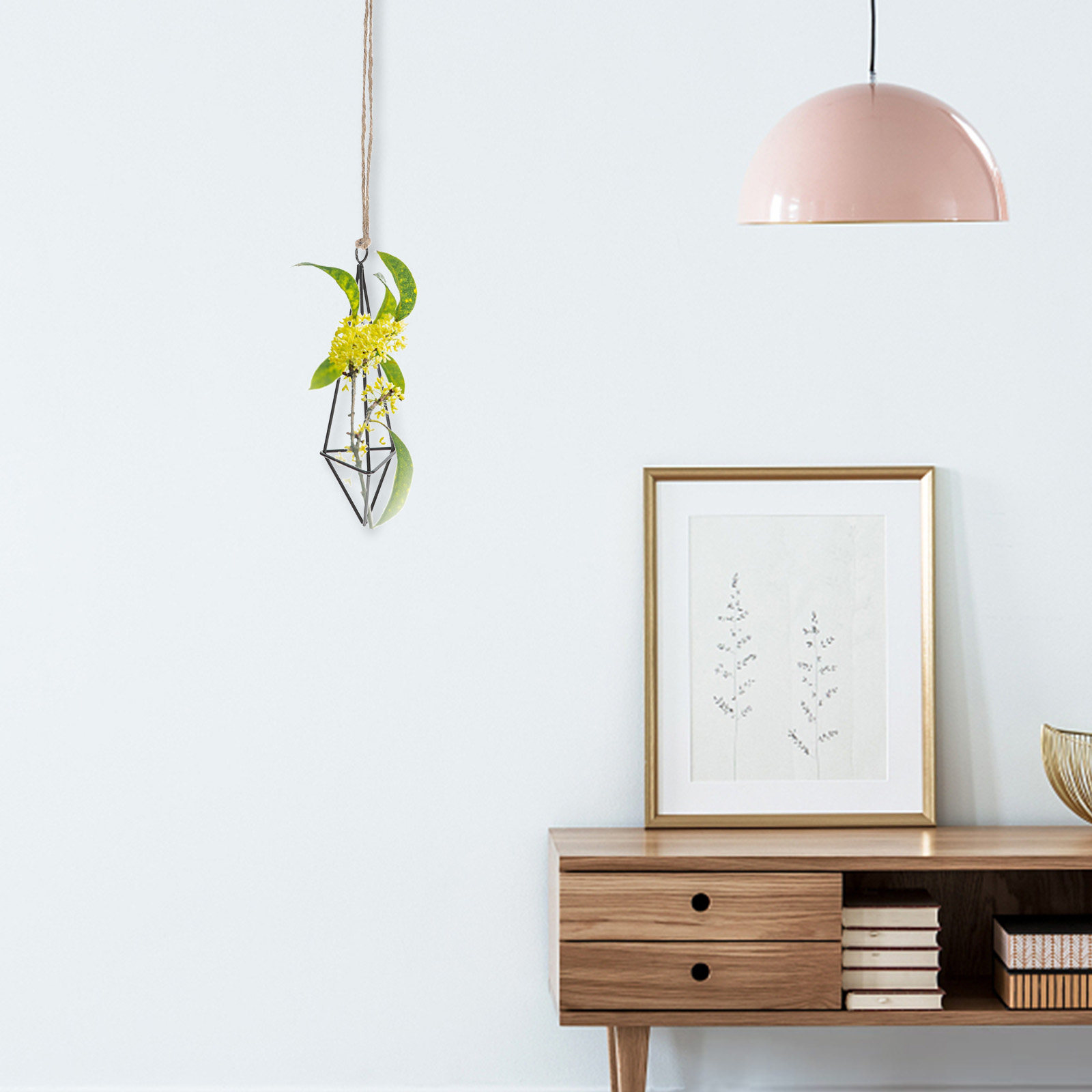 Metal Air Plant Holder Hanging - Spider Plant Hanging review and price