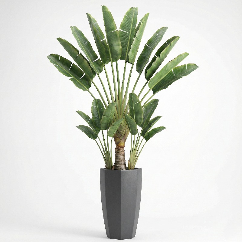 High-Simulation Plastic Fiddle - Ficus Lyrata Tree review and price