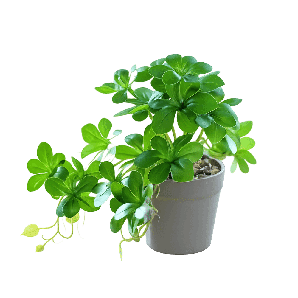 Bonsai Artificial Bonsai Plant - Spider Plant Hanging review and price