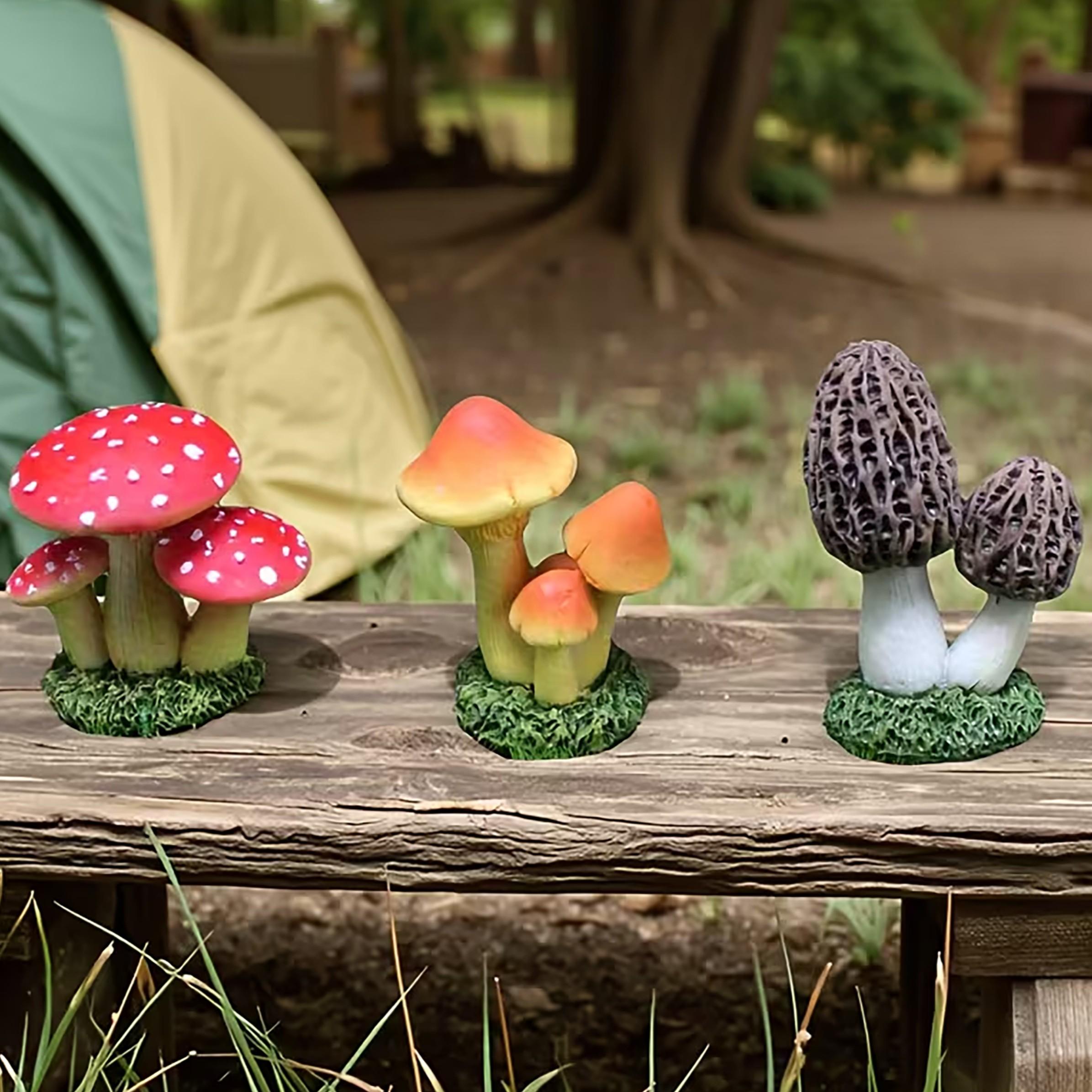 1 Set of 3pcs Artificial Mushr - Echeveria Succulent review and price